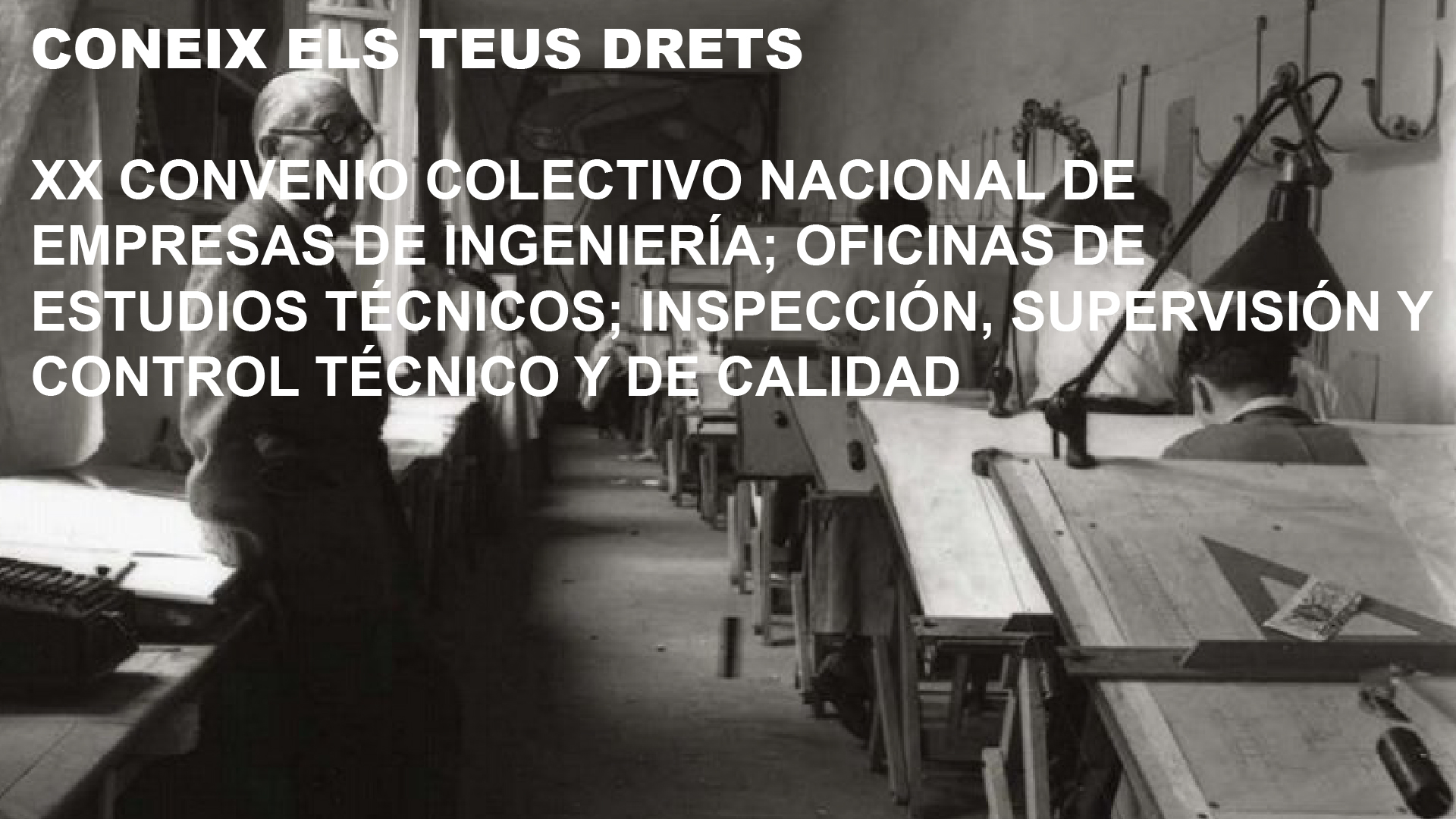 Coneix els teus drets